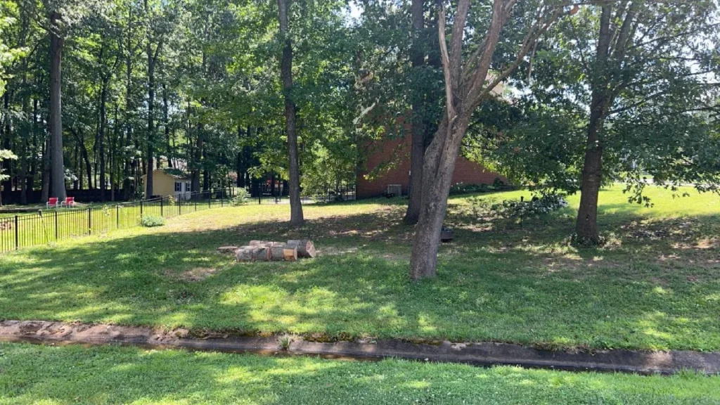 A grassy backyard with a few trees, a stack of cut logs, and a small fenced area. A red brick building is partially visible in the background.