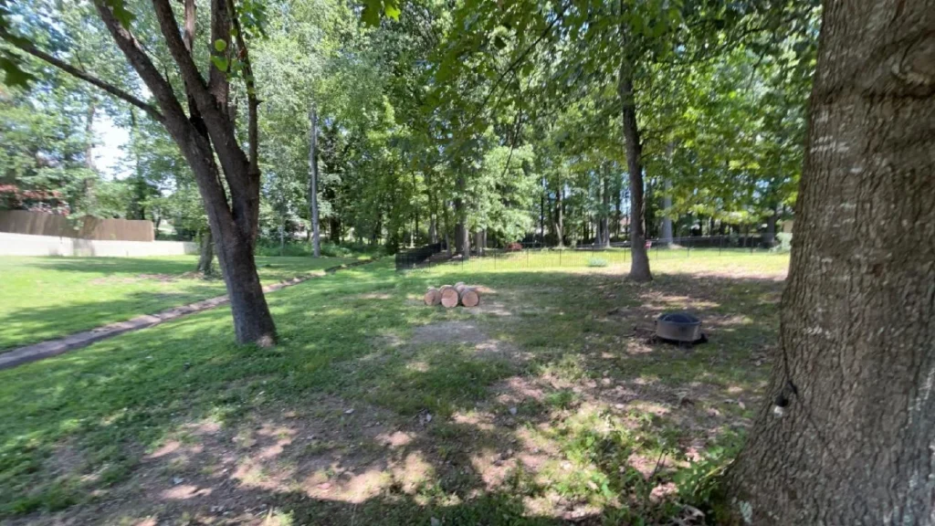 Grassy area with trees and a few logs in the center, surrounded by a fence in the background.