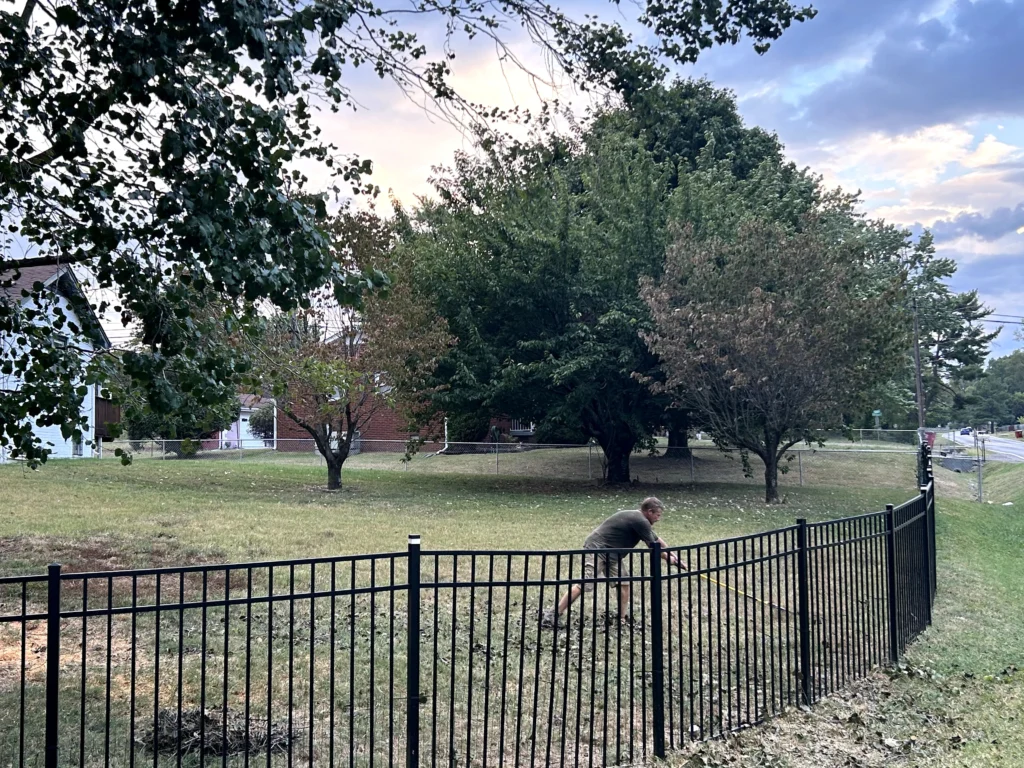 A person raking leaves near a black metal fence in a yard with several trees and a street in the background.