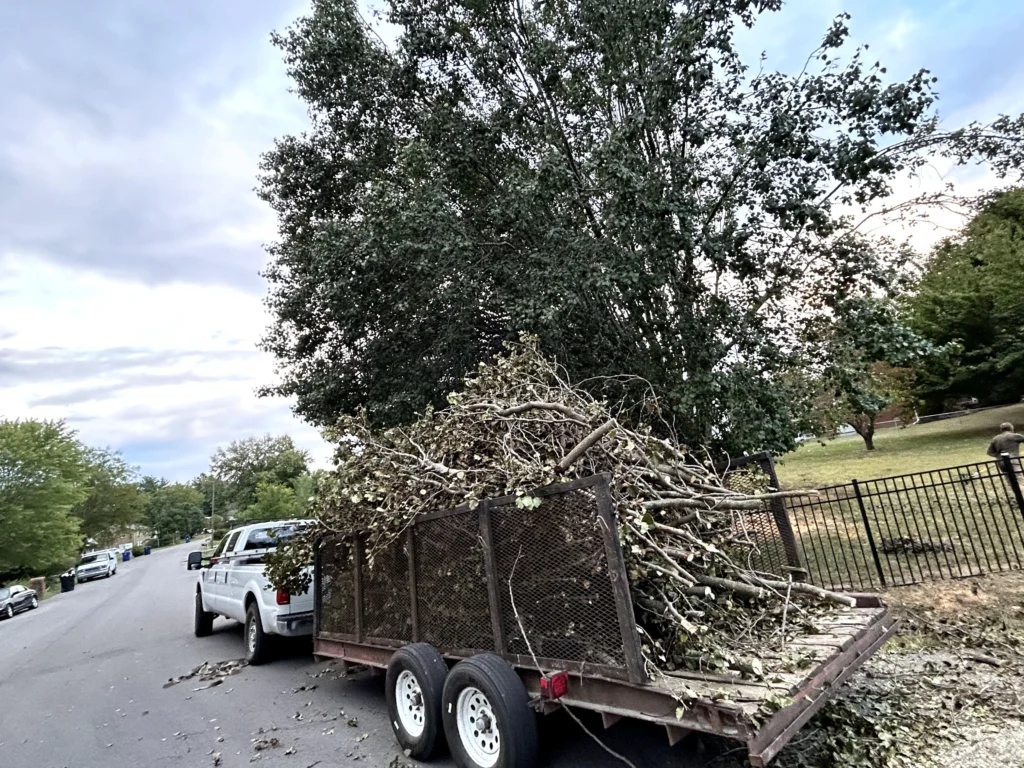 Truck with a trailer full of tree branches parked on a residential street. Large tree and metal fence in the background. Cloudy sky above.