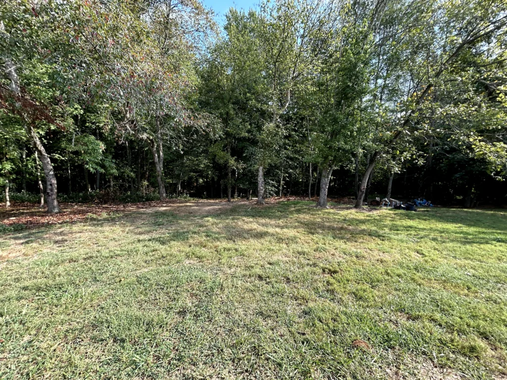 A grassy field with scattered trees and a wooded area in the background under a clear sky.