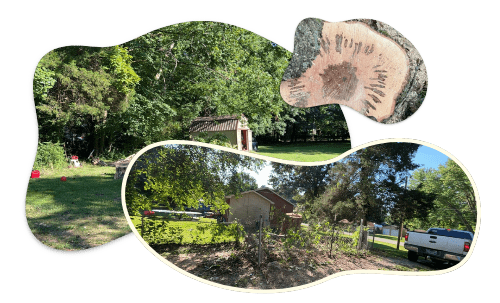 Collage of a garden with trees, a wooden shed, a tree stump, and a parked white truck.